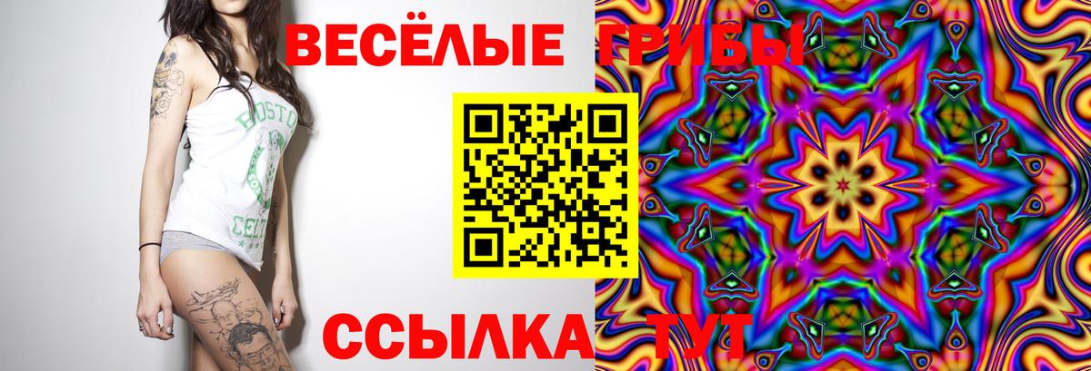 Галлюциногенные грибы GOLDEN TEACHER Сыктывкар