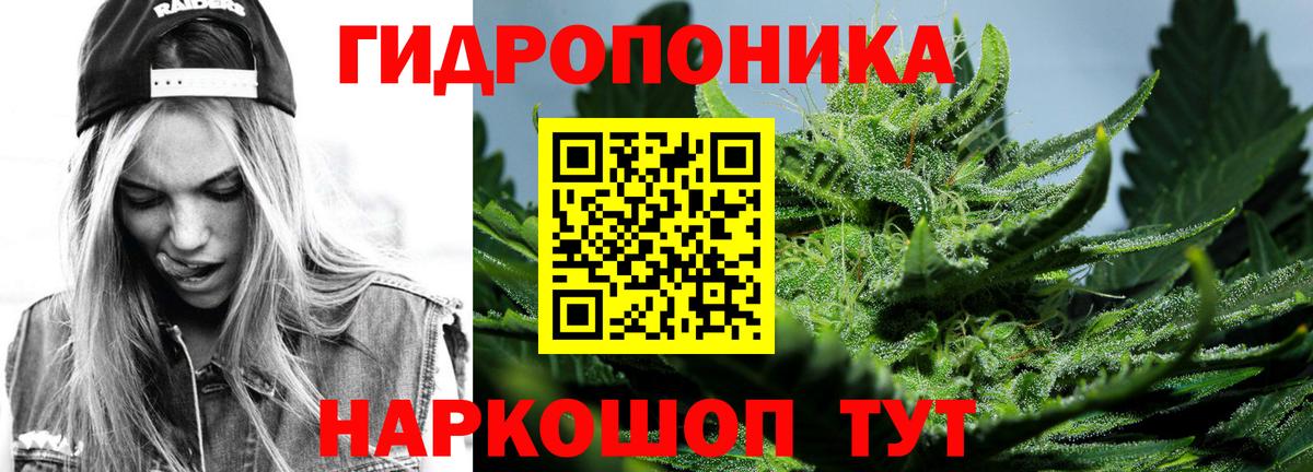 Марихуана сатива Сыктывкар